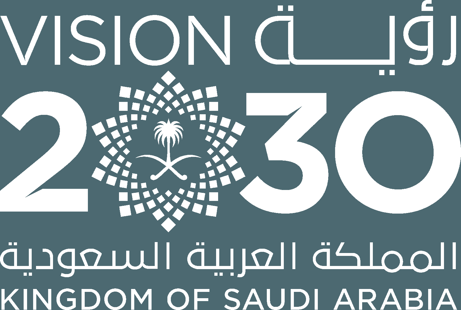 رؤية 2030